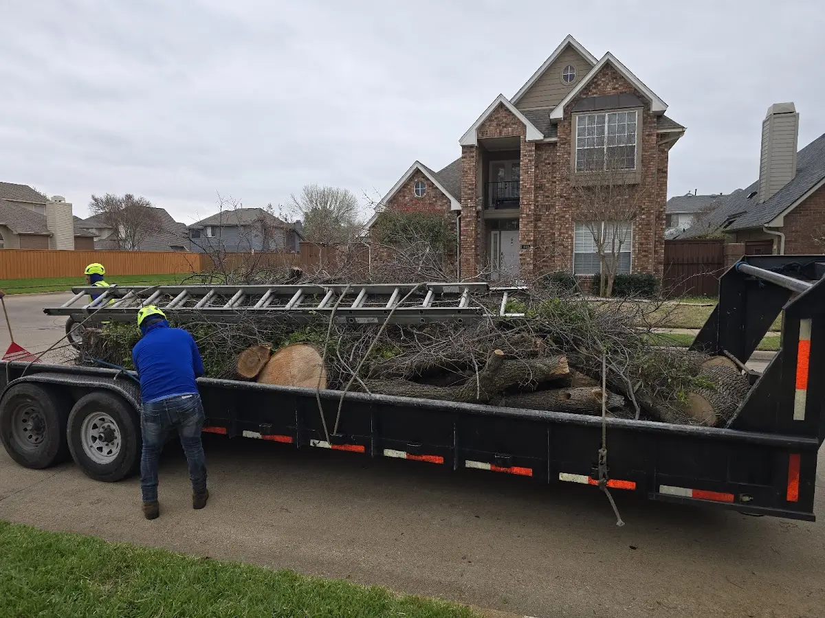 Expert Lot Clearing with proper safety equipment in Huntertown